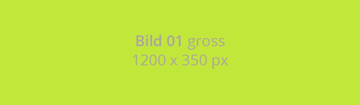 Bild-01-gross-1200-x-350-px