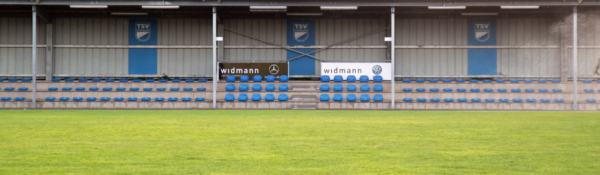 TSV Essingen Tribüne im Stadion