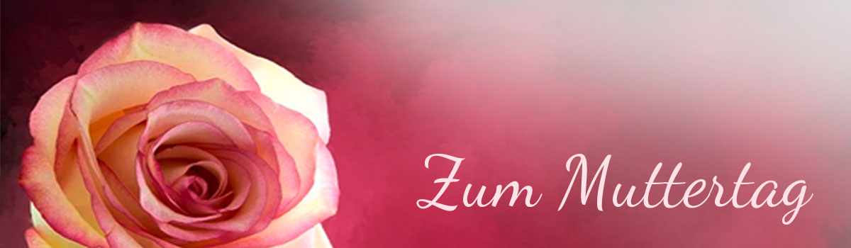 Eine Rose zum Muttertag